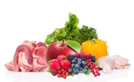 Ganzheitlicher Ernährungsberater Hund/Katze